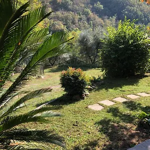 Costanza Larciano