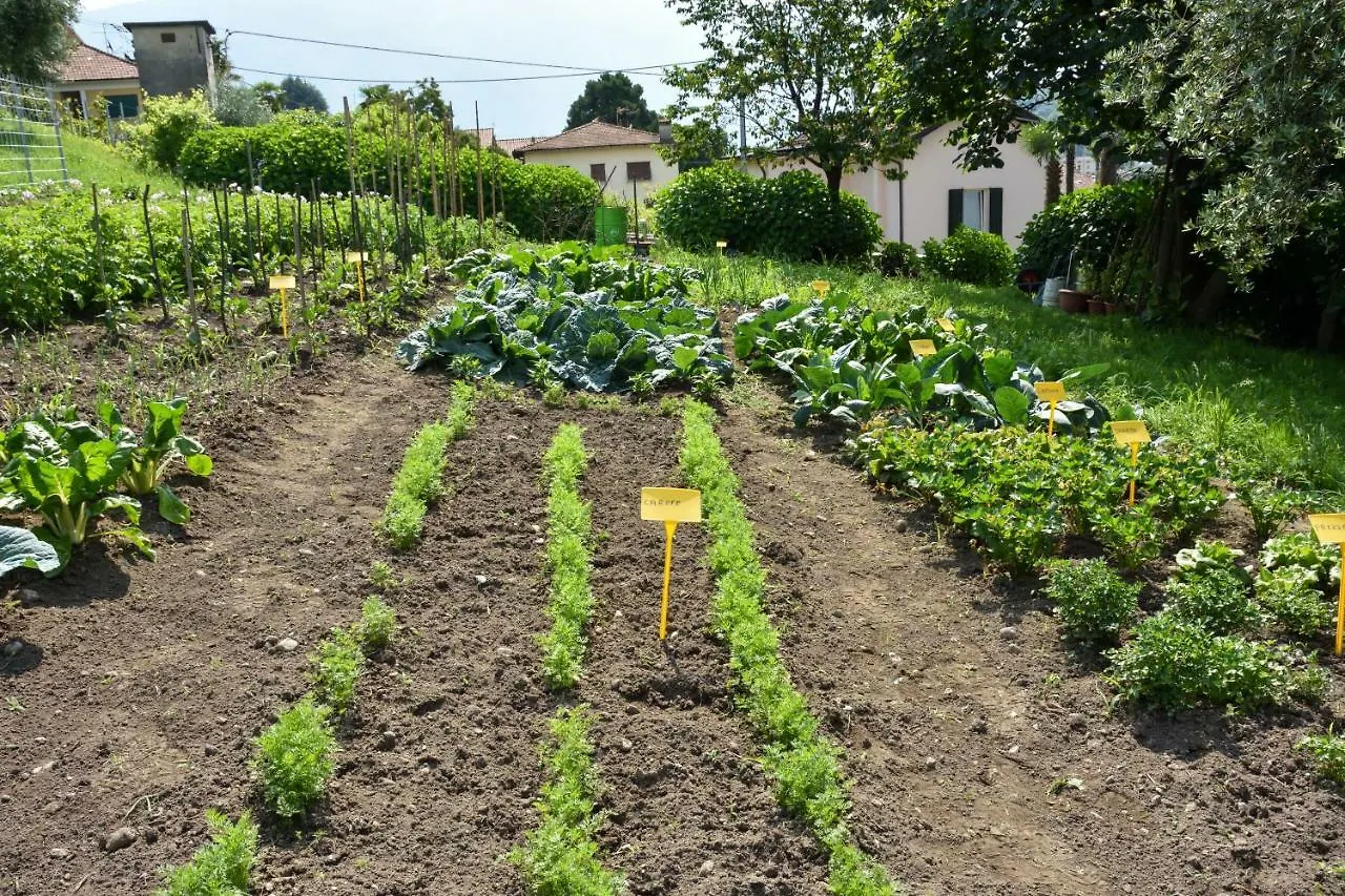 Agriturismo Il Colle Bellagio Alojamento de Turismo Rural