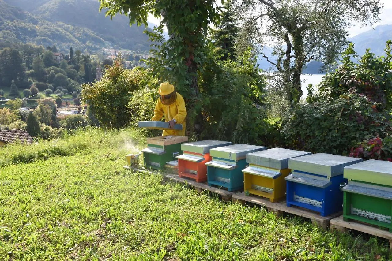 Agriturismo Il Colle Bellagio Alojamento de Turismo Rural