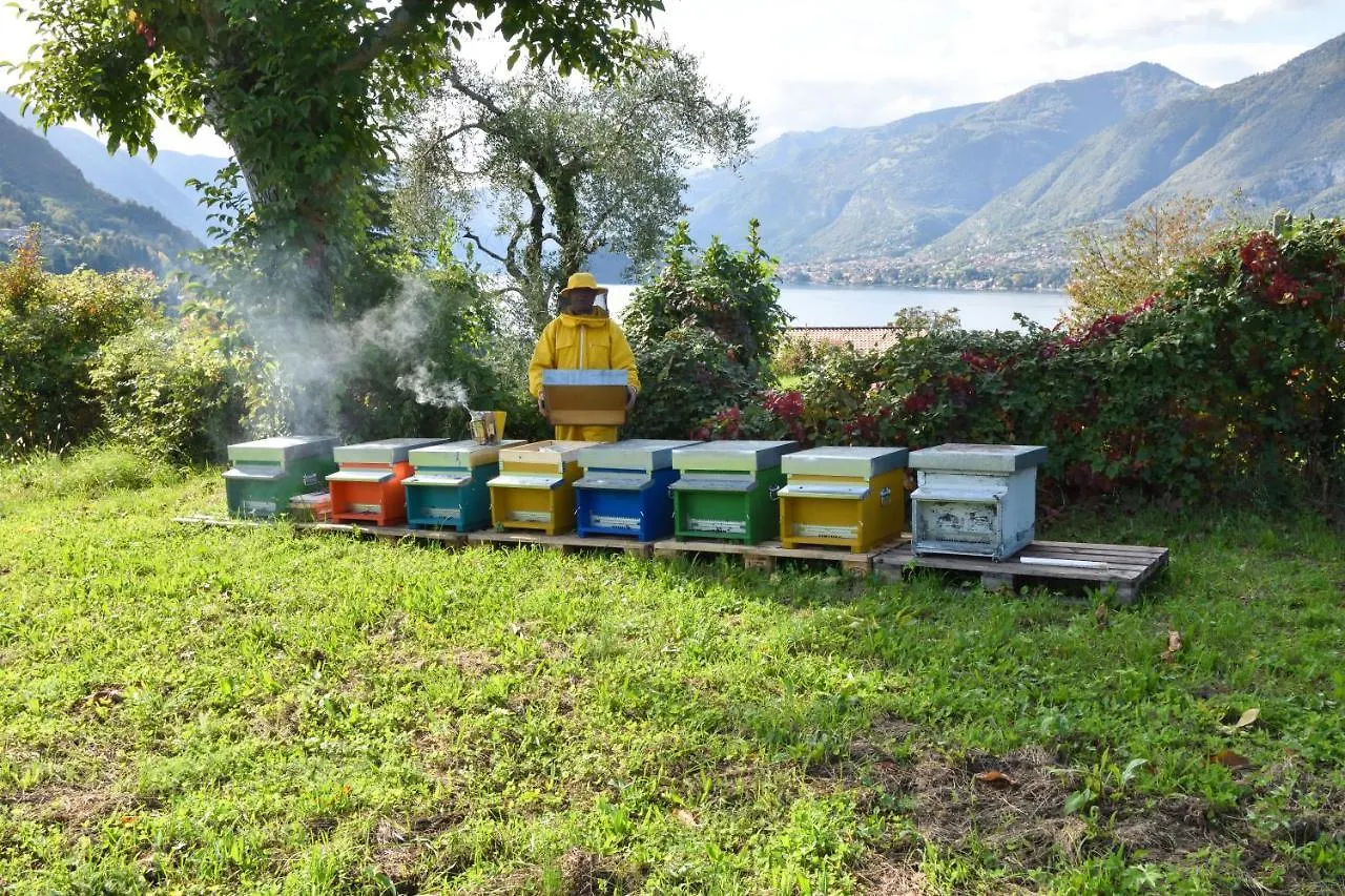 Alojamento de Turismo Rural Agriturismo Il Colle Bellagio