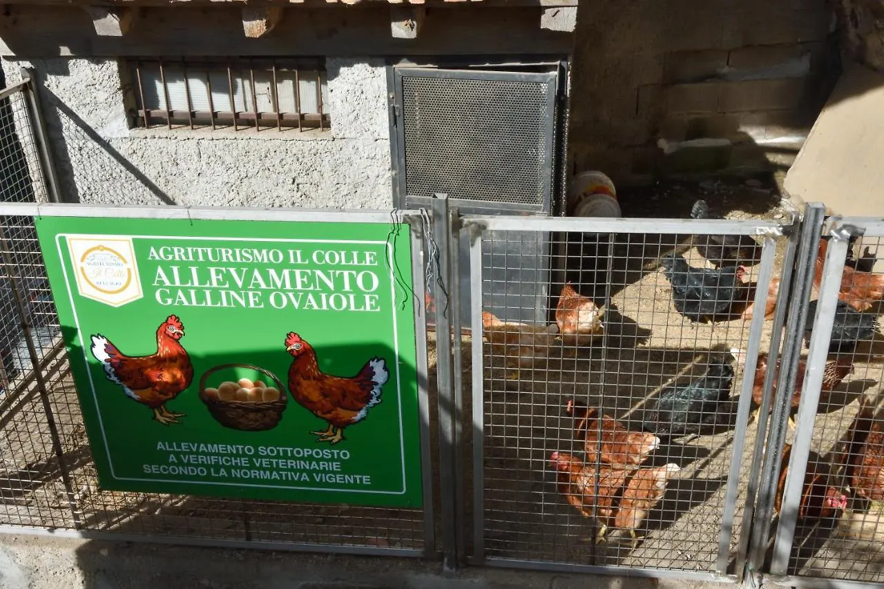 Agriturismo Il Colle Bellagio Alojamento de Turismo Rural