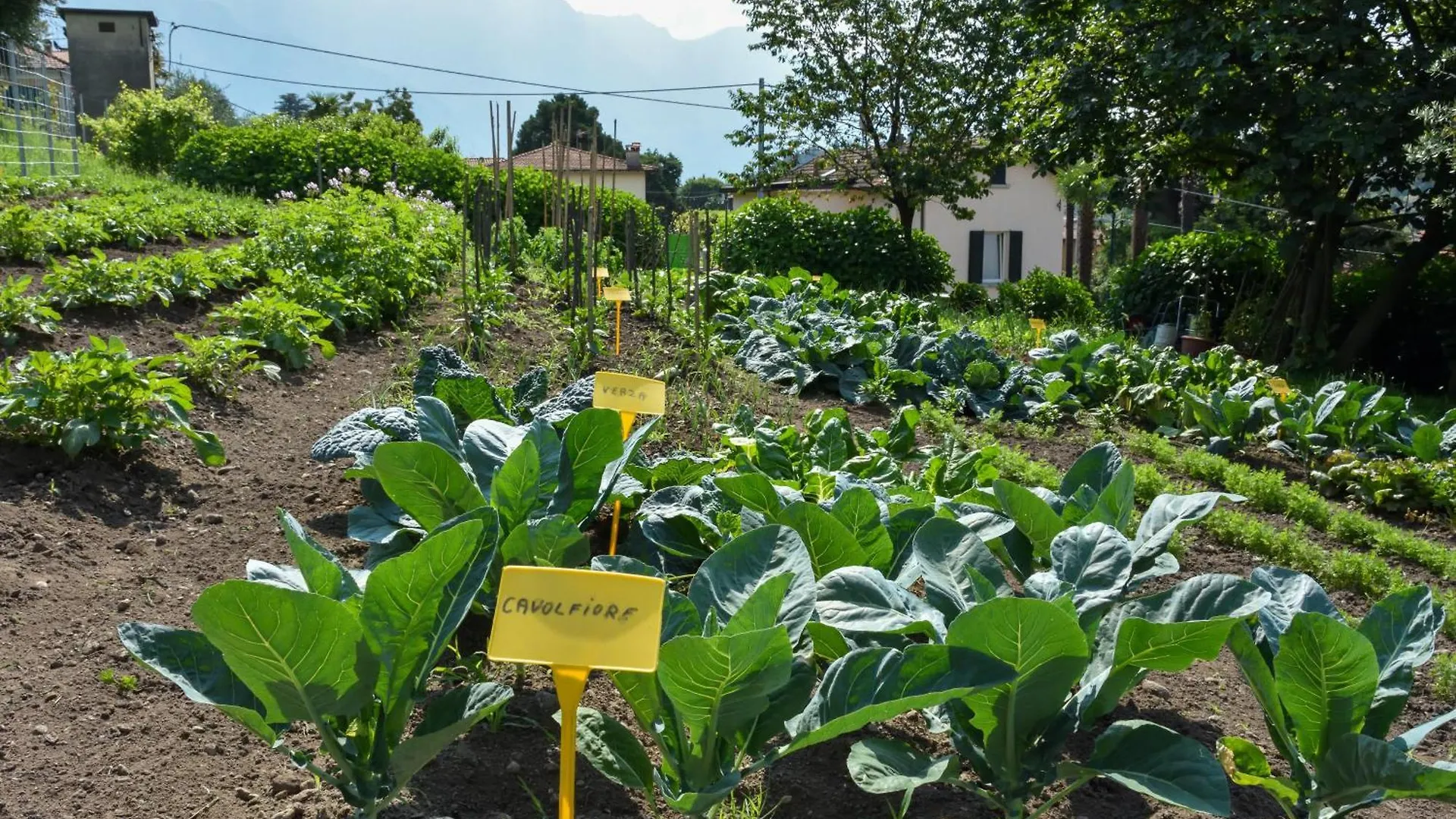 Alojamento de Turismo Rural Agriturismo Il Colle Bellagio