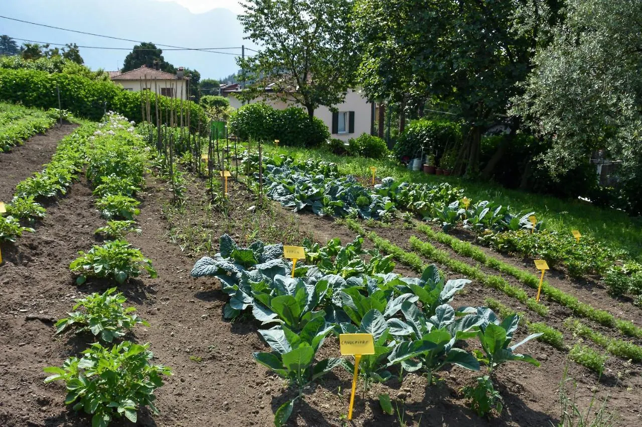 Agriturismo Il Colle Bellagio Alojamento de Turismo Rural